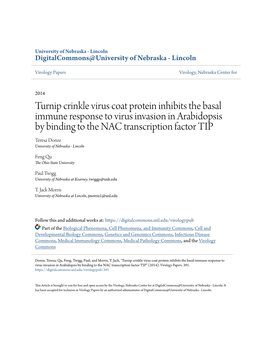 Turnip Crinkle Virus Coat Protein Inhibits the Basal Immune Response