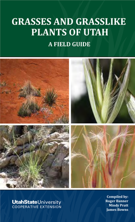 Grasses and Grasslike Plants of Utah a Field Guide