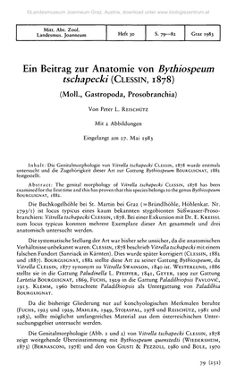 Ein Beitrag Zur Anatomie Von Bythiospeum Tschapecki (CLESSIN, 1878) (Moll., Gastropoda, Prosobranchia)