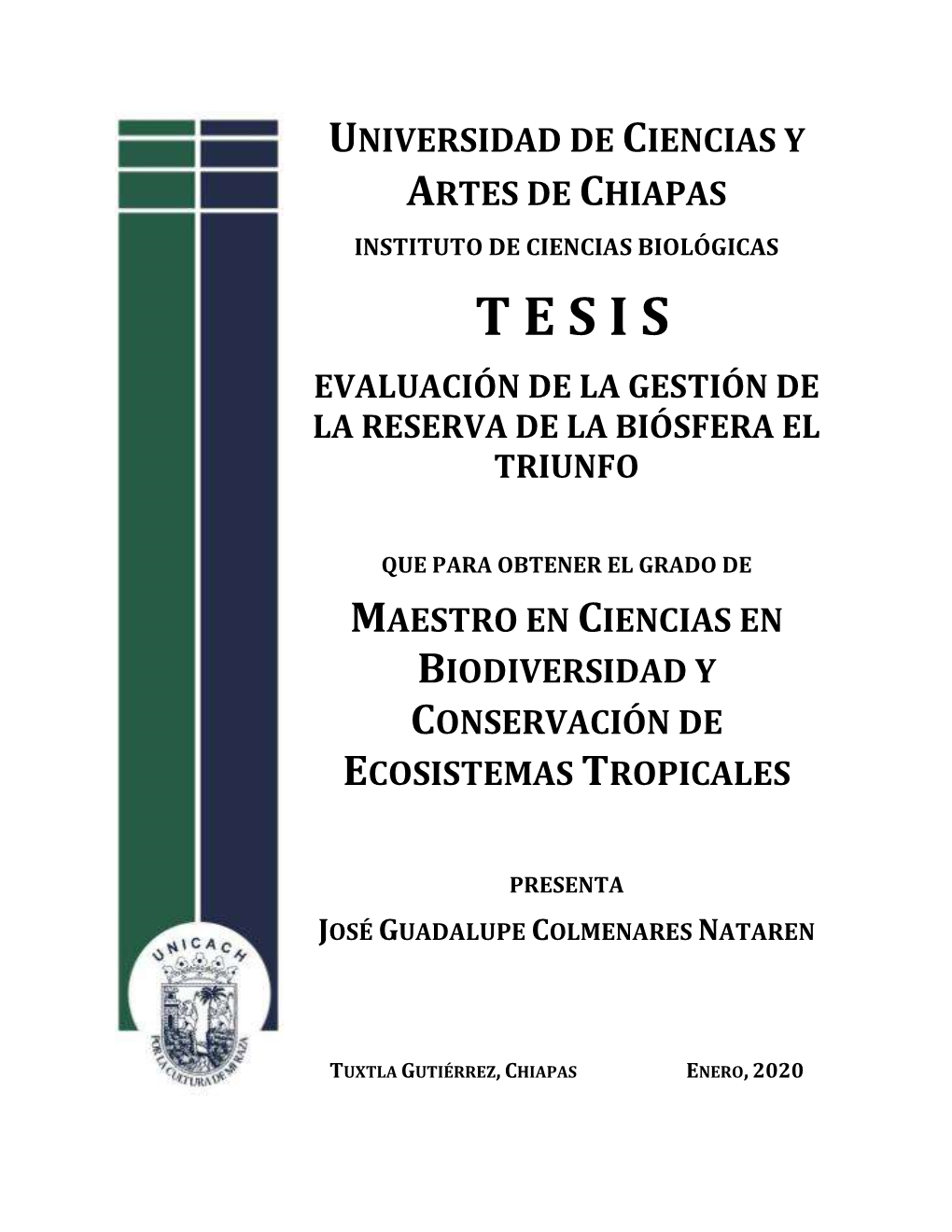 Tesis De Maestría