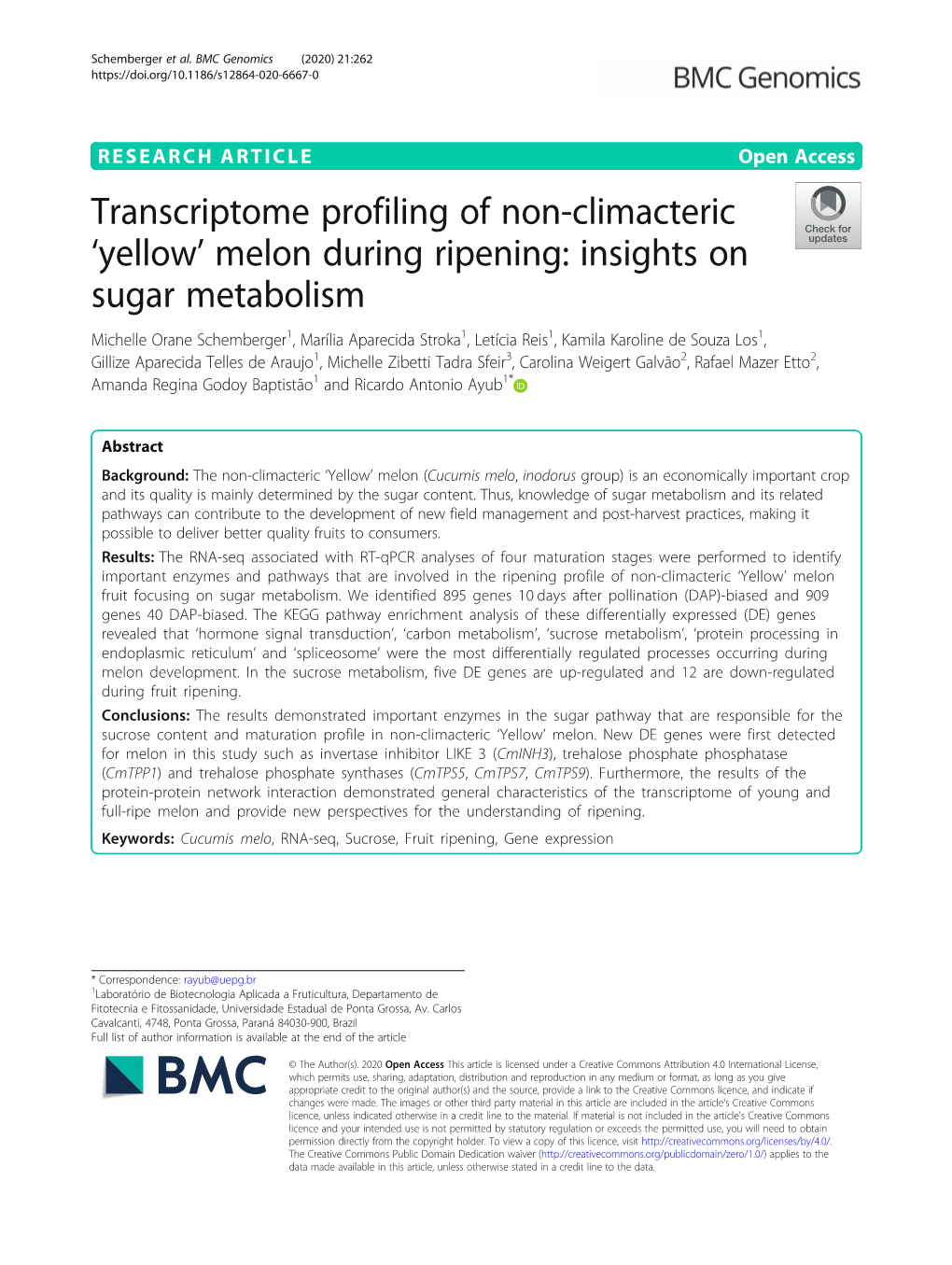 Melon During Ripening: Insights on Sugar Metabolism