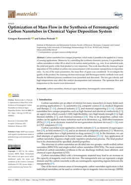 Optimization of Mass Flow in the Synthesis of Ferromagnetic Carbon Nanotubes in Chemical Vapor Deposition System