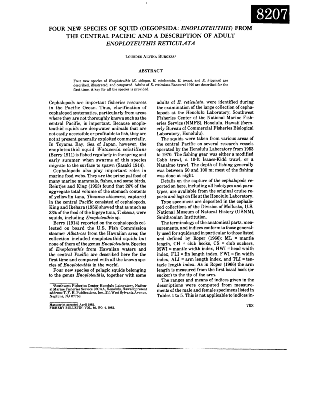 Four New Species of Squid (Oegopsida: Enoploteuthis) from the Central Pacific and a Description of Adult Enoploteuthis Reticula Ta