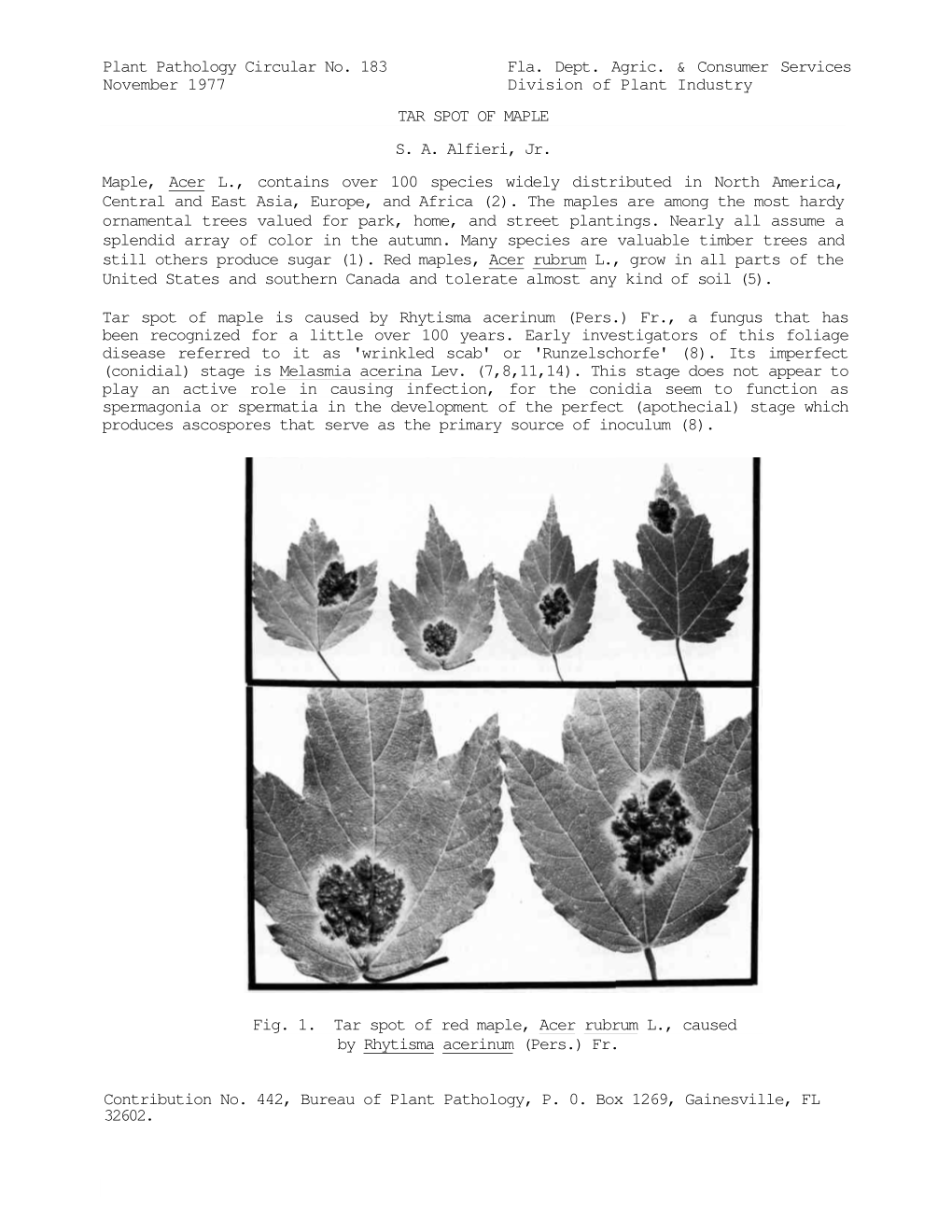 Plant Pathology Circular No. 183 Fla. Dept. Agric. & Consumer Services