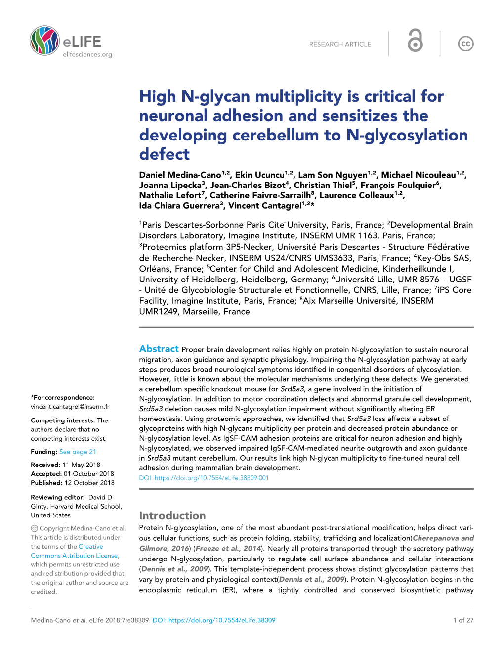 High N-Glycan Multiplicity Is Critical for Neuronal Adhesion and Sensitizes the Developing Cerebellum to N-Glycosylation Defect