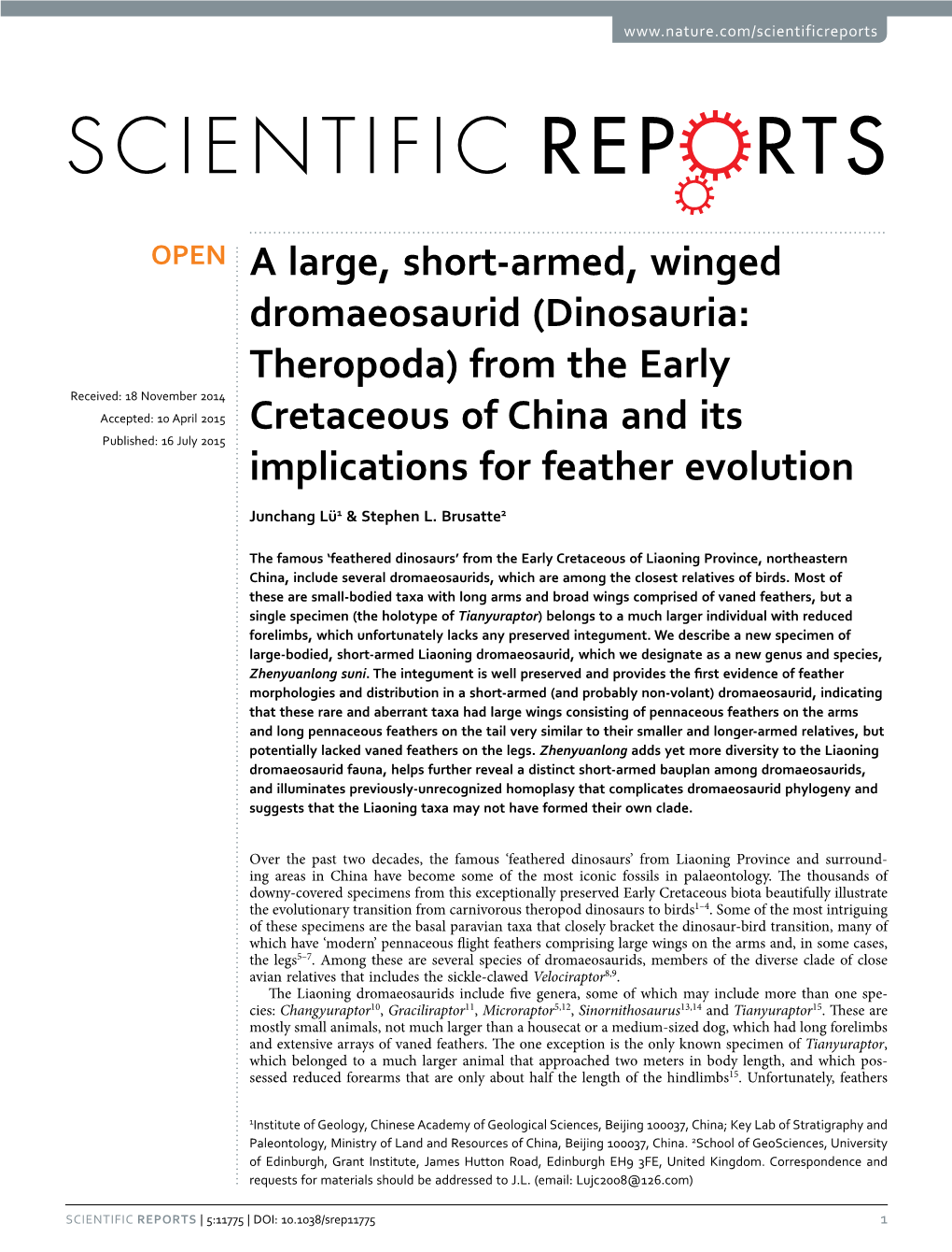 A Large, Short-Armed, Winged Dromaeosaurid (Dinosauria