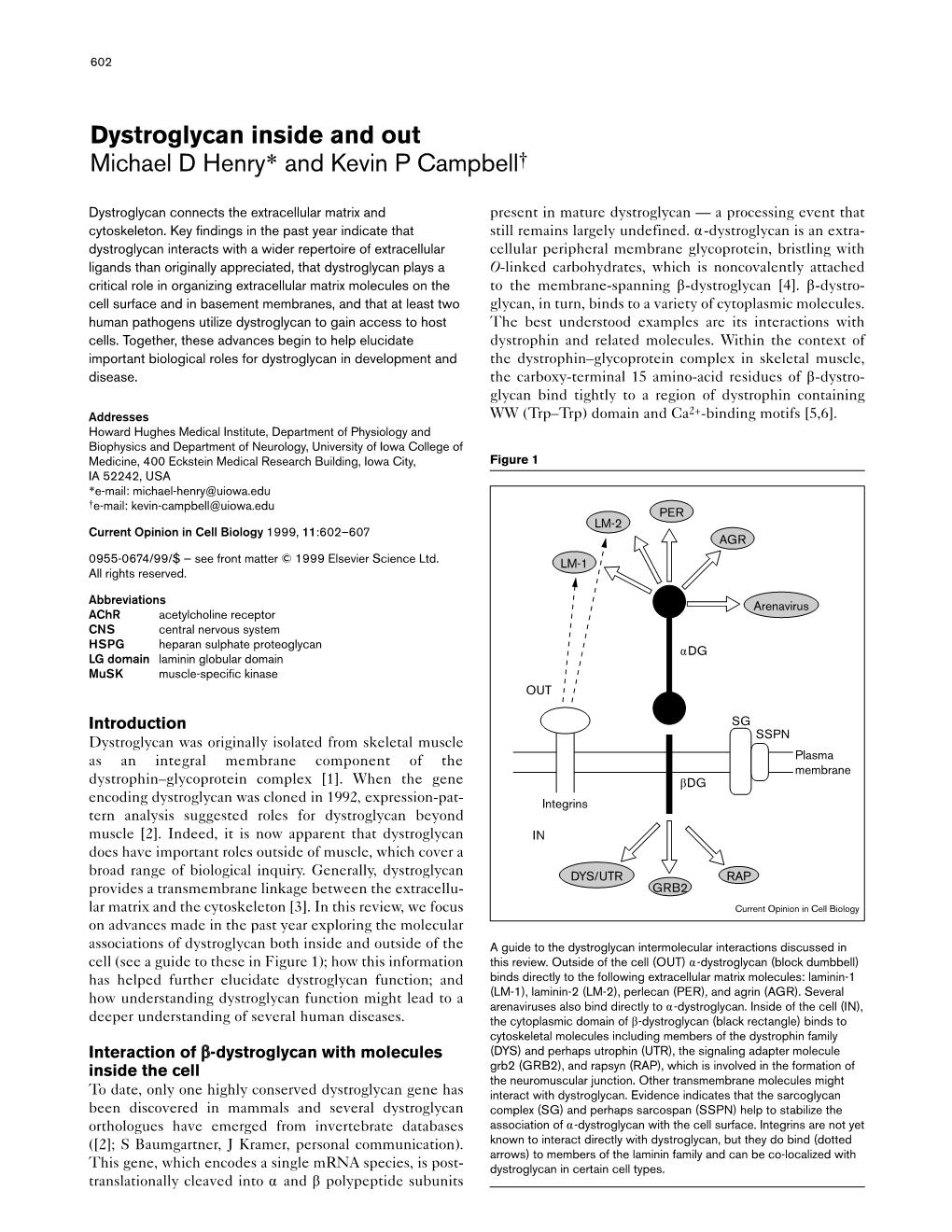 Dystroglycan Inside and out Michael D Henry* and Kevin P Campbell†