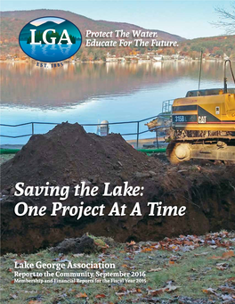 Saving the Lake: One Project at a Time