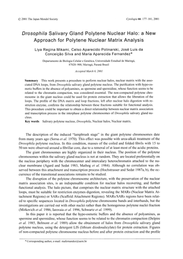 Drosophila Salivary Gland Polytene Nuclear Halo: a New Approach for Polytene Nuclear Matrix Analysis