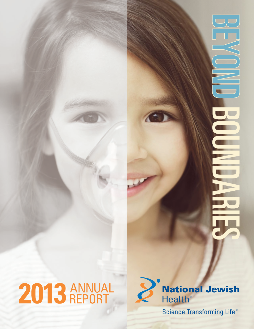 2013 Annual Report