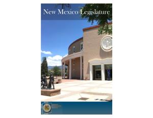 State Legislature Primer