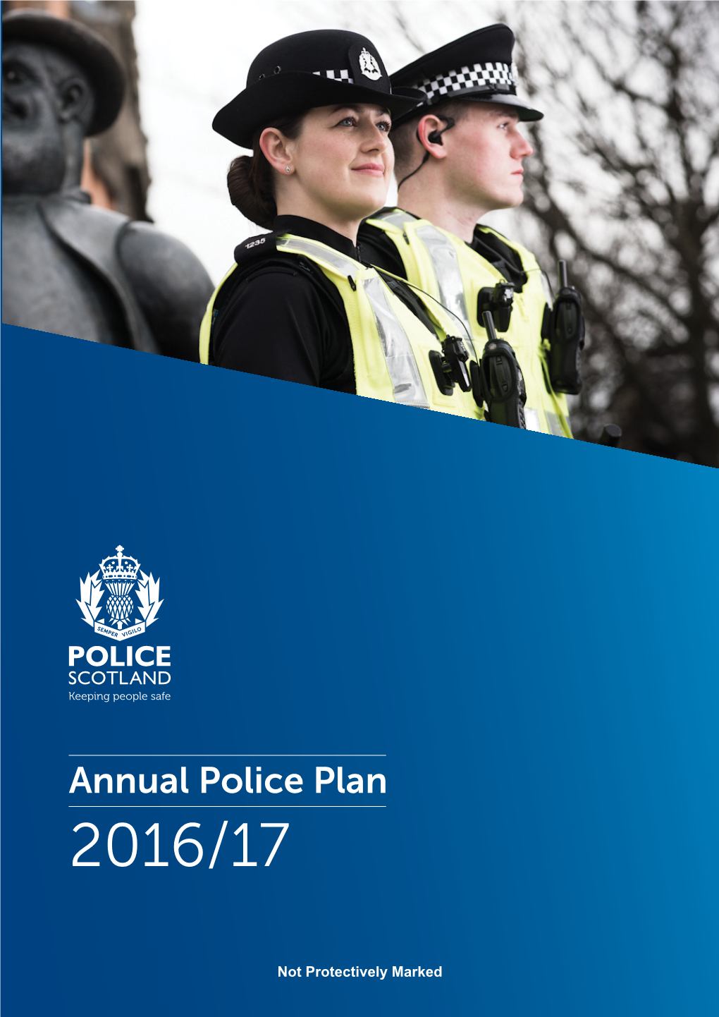 Annual Police Plan 2016/17