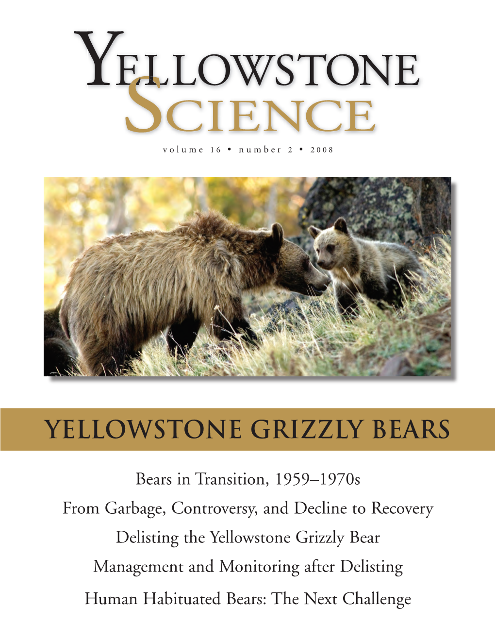 Yellowstone Grizzly Bears