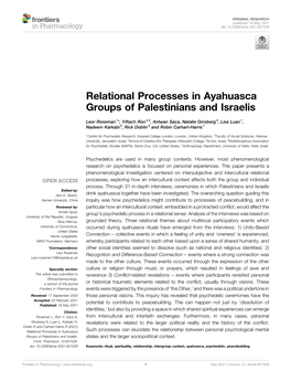 Relational Processes in Ayahuasca Groups of Palestinians and Israelis