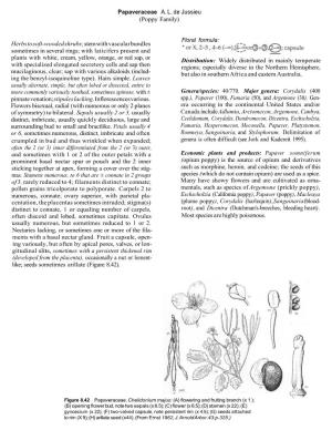 Papaveraceae A. L. De Jussieu (Poppy Family) Herbs to Soft
