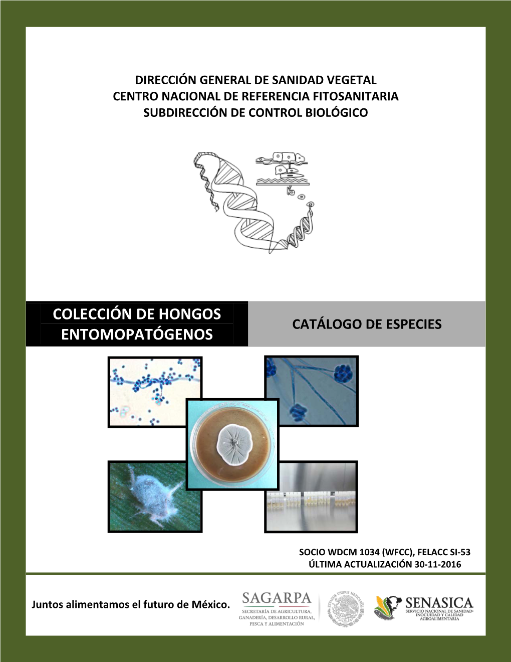 Catálogo De Especies Entomopatógenos