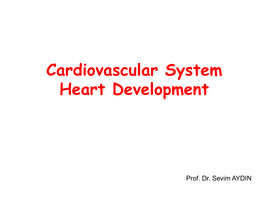 Cardiovascular System Heart Development Cardiovascular System Heart Development