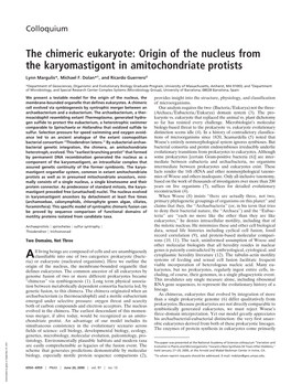 The Chimeric Eukaryote: Origin of the Nucleus from the Karyomastigont in Amitochondriate Protists