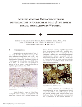 Investigation of Batrachochytrium Dendrobatidis in Four Boreal Toad (Bufo Boreas Boreas) Populations in Wyoming +