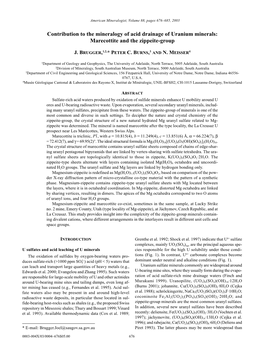 Contribution to the Mineralogy of Acid Drainage of Uranium Minerals: Marecottite and the Zippeite-Group