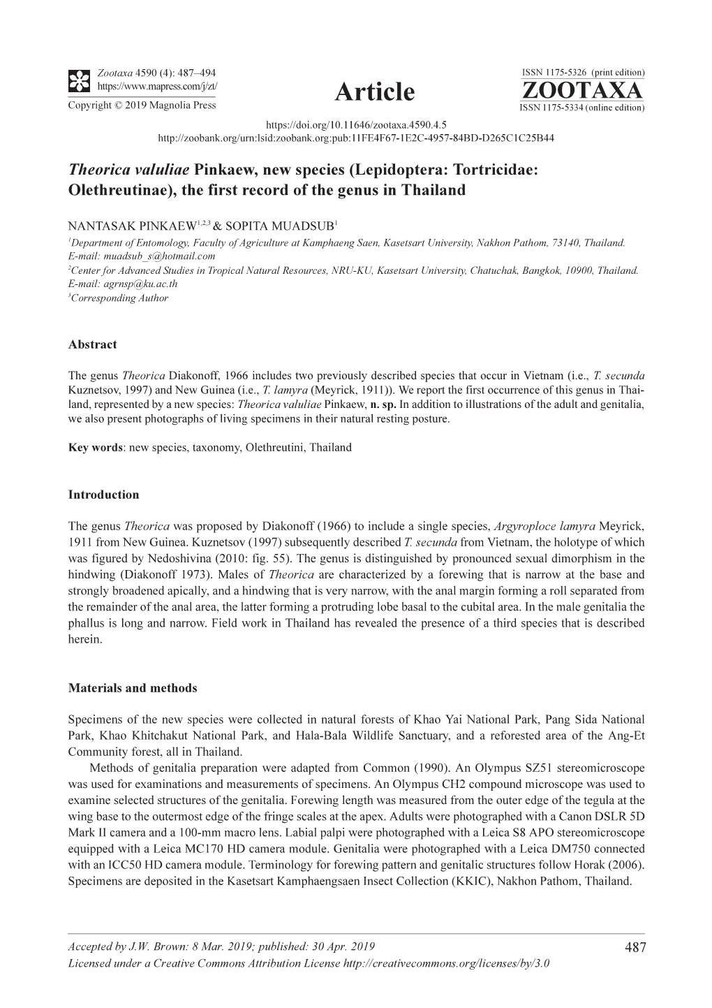 Theorica Valuliae Pinkaew, New Species (Lepidoptera: Tortricidae: Olethreutinae), the First Record of the Genus in Thailand