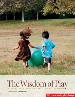 The Wisdom of Play