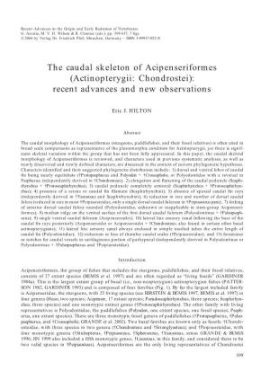 The Caudal Skeleton of Acipenseriformes (Actinopterygii: Chondrostei): Recent Advances and New Observations