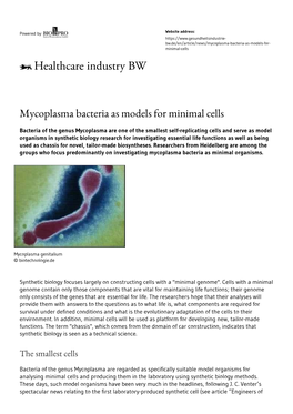 Mycoplasma Bacteria As Models for Minimal Cells