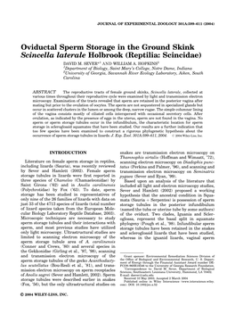 Oviductal Sperm Storage in the Ground Skink Scincella Laterale Holbrook (Reptilia: Scincidae) DAVID M
