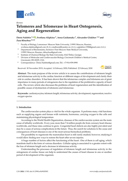 Telomeres and Telomerase in Heart Ontogenesis, Aging and Regeneration