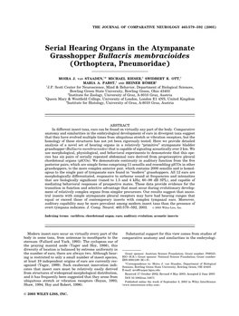 Serial Hearing Organs in the Atympanate Grasshopper Bullacris Membracioides (Orthoptera, Pneumoridae)