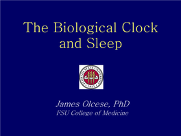 The Biological Clock and Sleep
