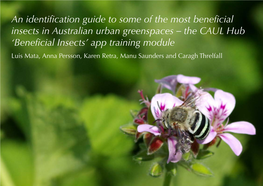 Beneficial Insects