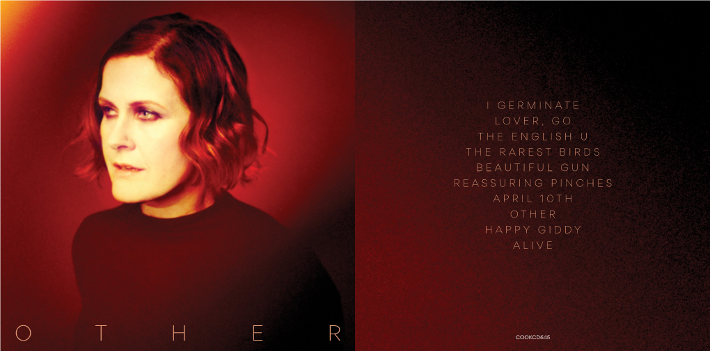 Alison Moyet – Other