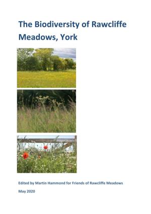 The Biodiversity of Rawcliffe Meadows, York