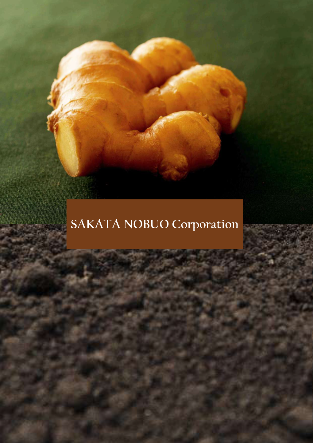 SAKATA NOBUO Corporation KOGANE Ginger