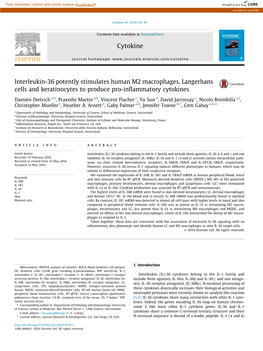 Interleukin-36 Potently Stimulates Human M2 Macrophages, Langerhans Cells and Keratinocytes to Produce Pro-Inﬂammatory Cytokines
