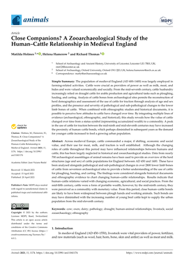 A Zooarchaeological Study of the Human–Cattle Relationship in Medieval England
