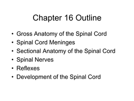 Spinal Cord • Spinal Cord Meninges • Sectional Anatomy of the Spinal Cord • Spinal Nerves • Reflexes • Development of the Spinal Cord Spinal Cord—Introduction