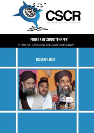 Profile of Sunni Tehreek by Fahad Nabeel, Muhammad Omar Afzaal and Sidra Waseem