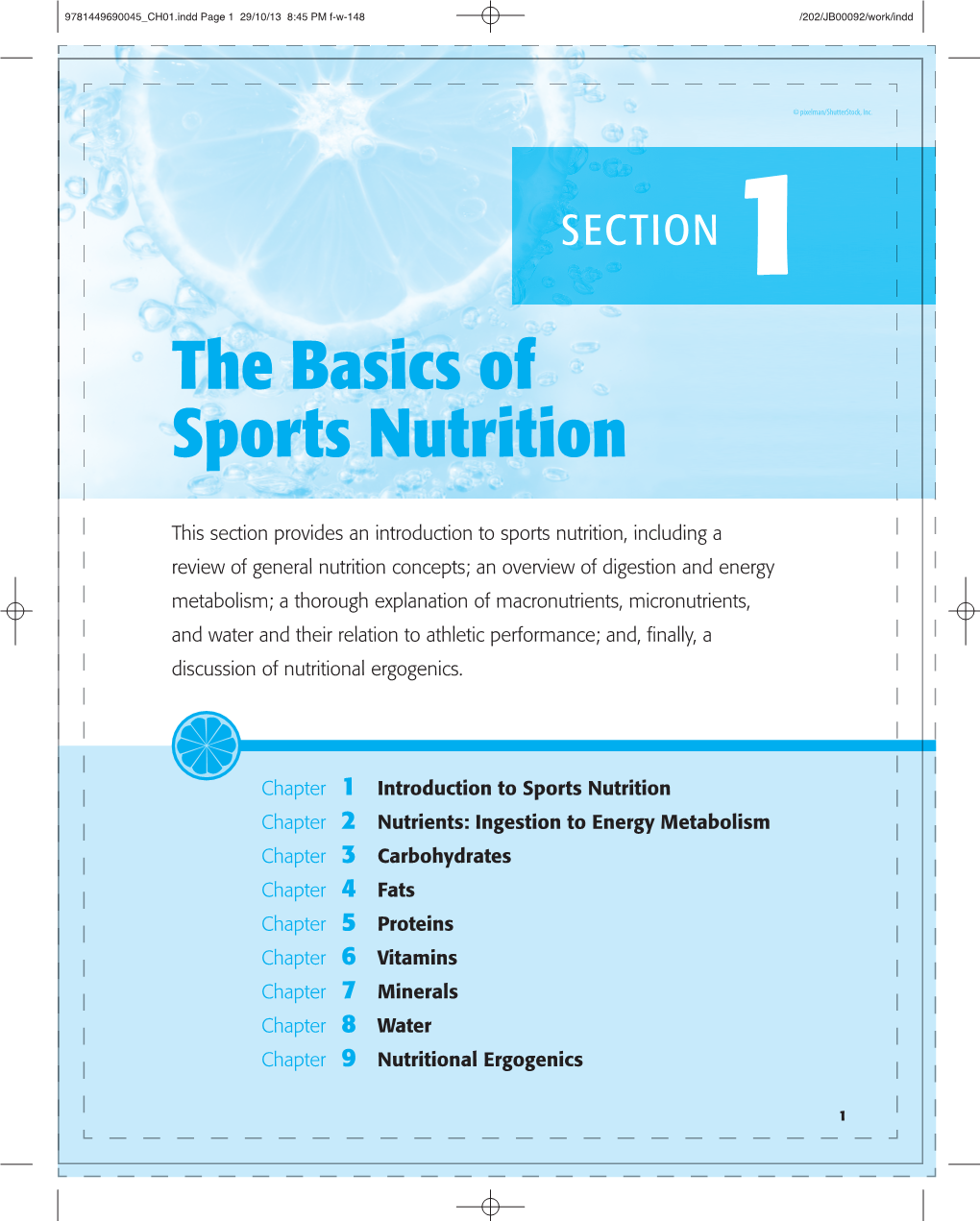 The Basics of Sports Nutrition