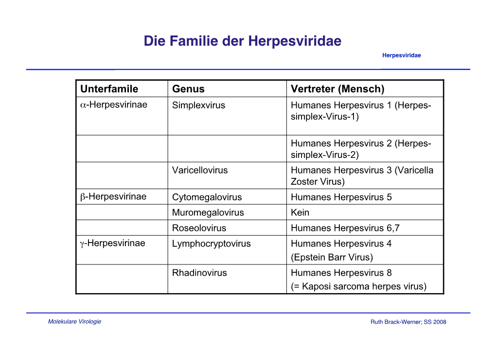 Die Familie Der Herpesviridae Herpesviridae