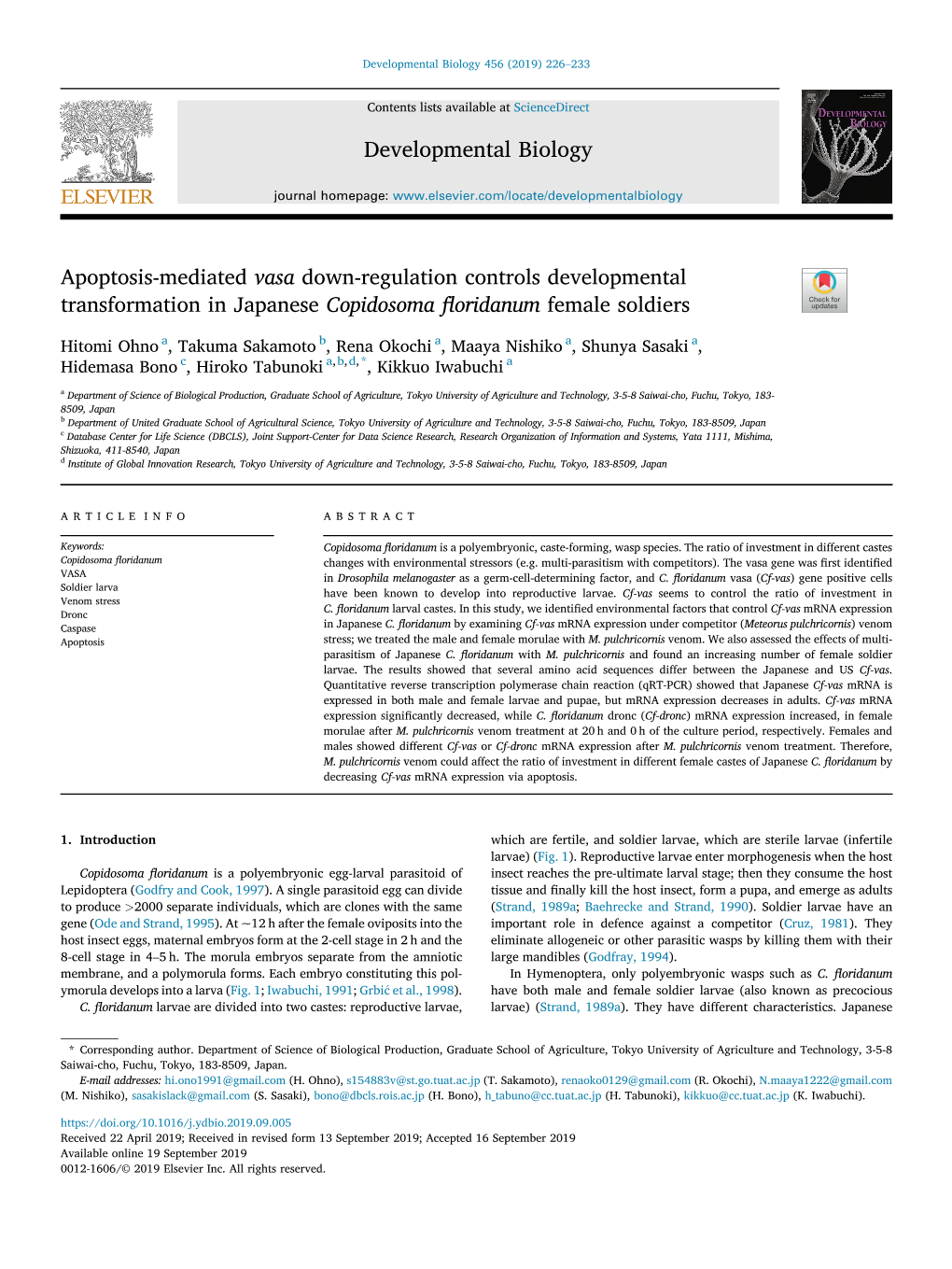 Apoptosis-Mediated Vasa Down-Regulation Controls Developmental Transformation in Japanese Copidosoma ﬂoridanum Female Soldiers