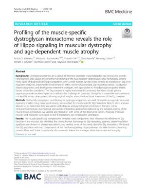Profiling of the Muscle-Specific Dystroglycan Interactome Reveals the Role of Hippo Signaling in Muscular Dystrophy and Age-Dependent Muscle Atrophy Andriy S