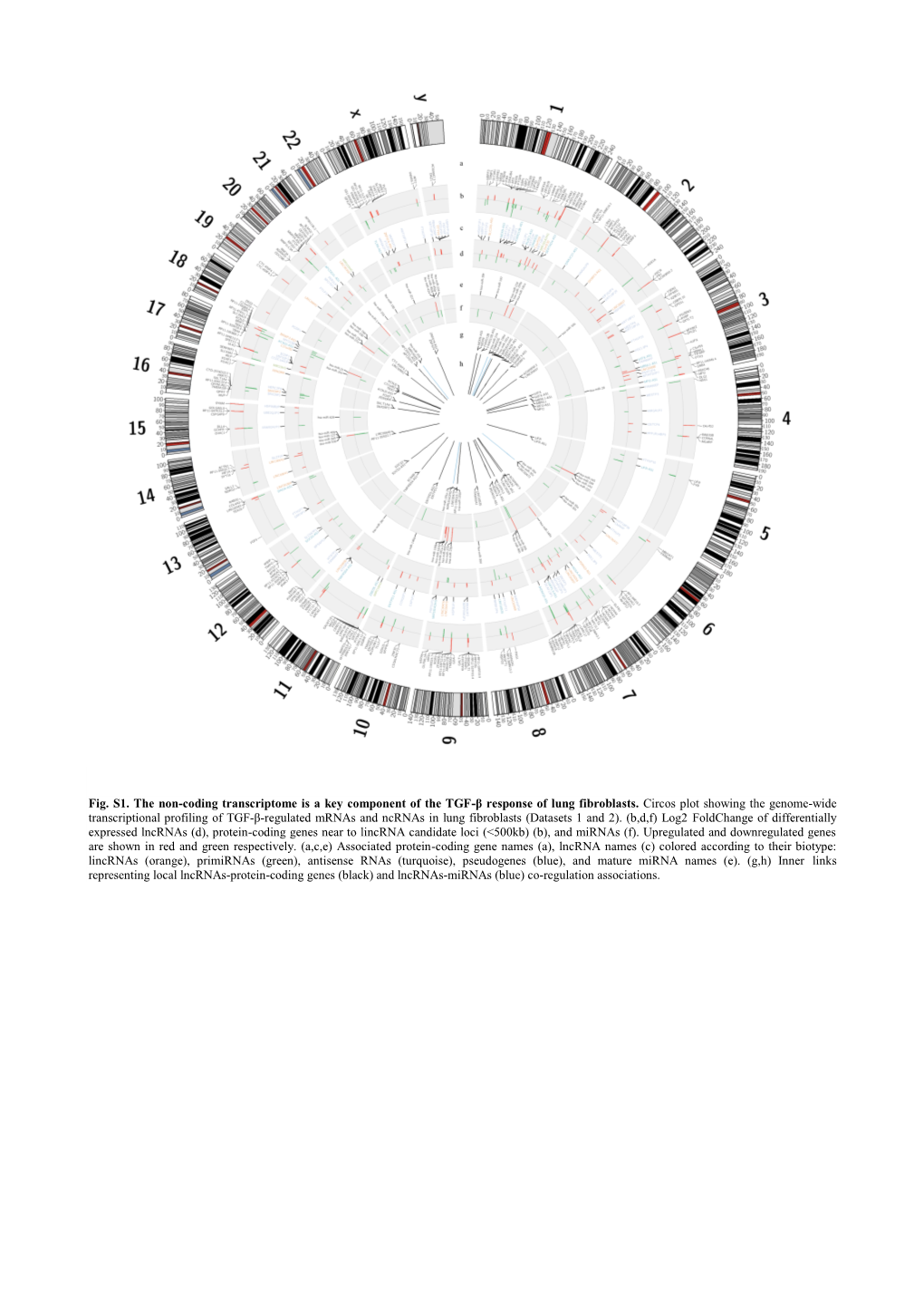 Fig. S1. the Non-Coding Transcriptome Is a Key Component of the TGF-Β Response of Lung Fibroblasts