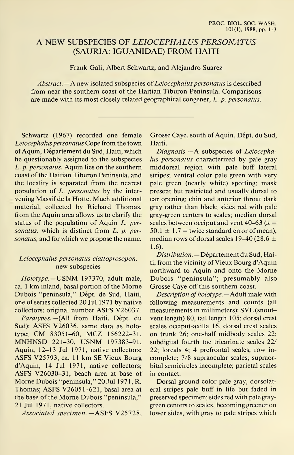 PROCEEDINGS of the BIOLOGICAL SOCIETY of WASHINGTON May Be Very Indistinct; Mask Dark Brown White) Spotting