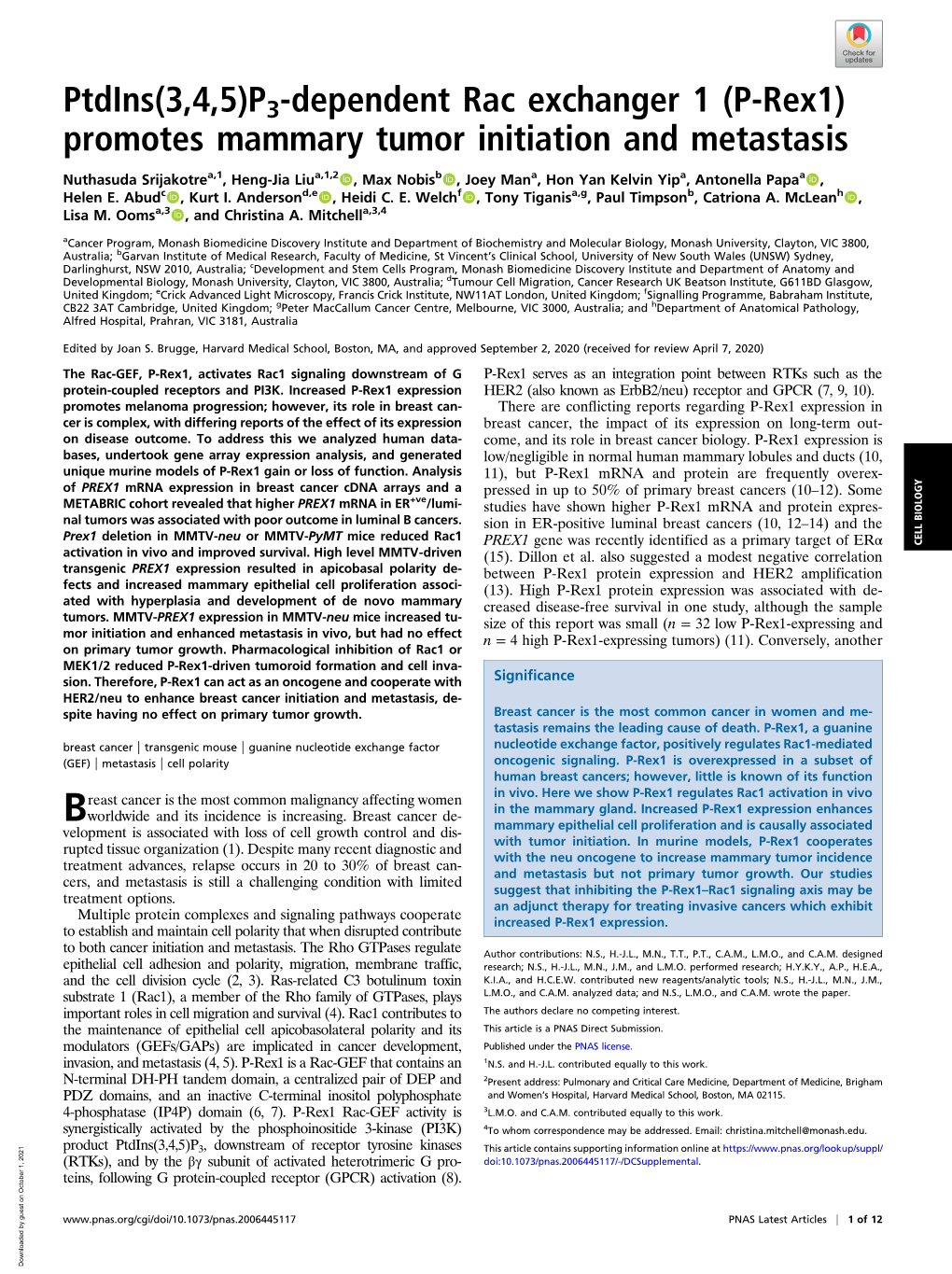 Promotes Mammary Tumor Initiation and Metastasis