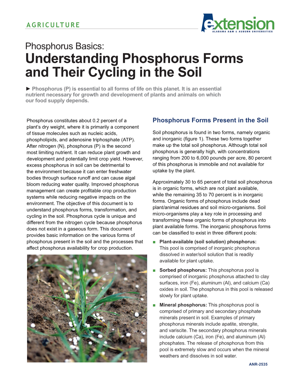 Understanding Phosphorus Forms and Their Cycling in the Soil ► Phosphorus (P) Is Essential to All Forms of Life on This Planet