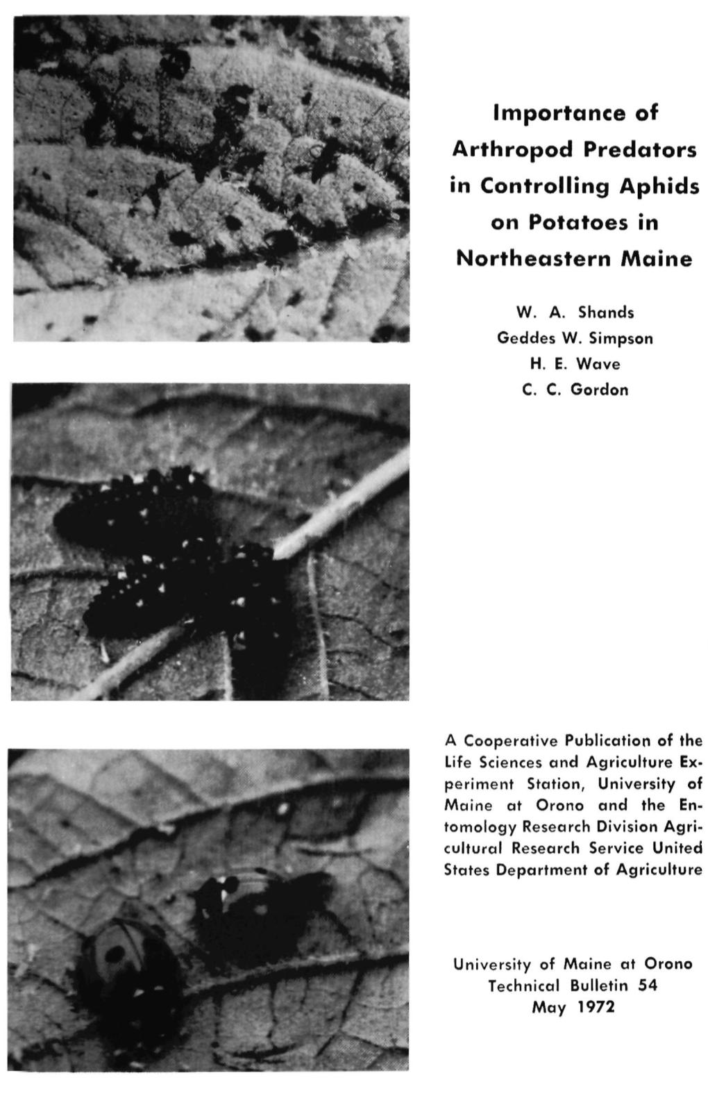 Importance of Arthropod Predators in Controlling Aphids on Potatoes in Northeastern Maine