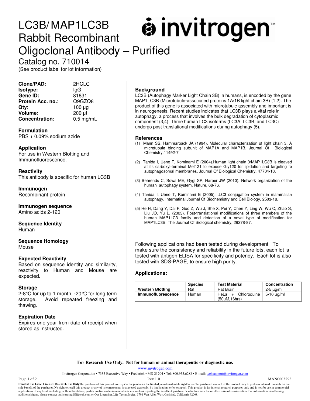 LC3B/MAP1LC3B Rabbit Recombinant Oligoclonal Antibody